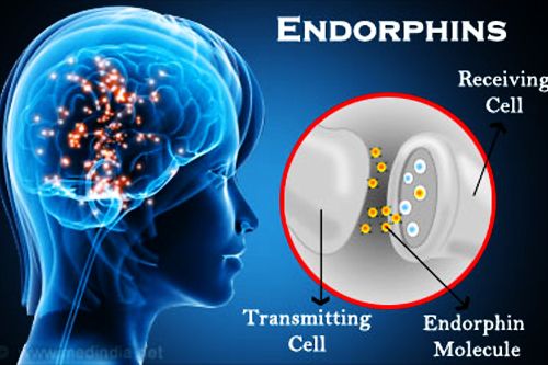 Cryogenic Endorphins